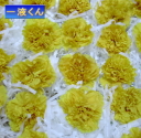 一液くんで作ったカーネーション