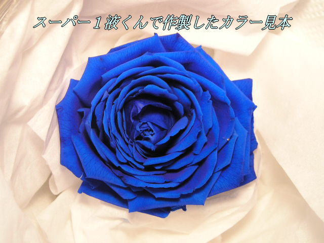 一液くんで作った薔薇：藍色