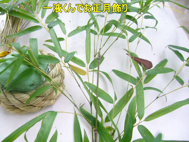 正月用アレンジ花材