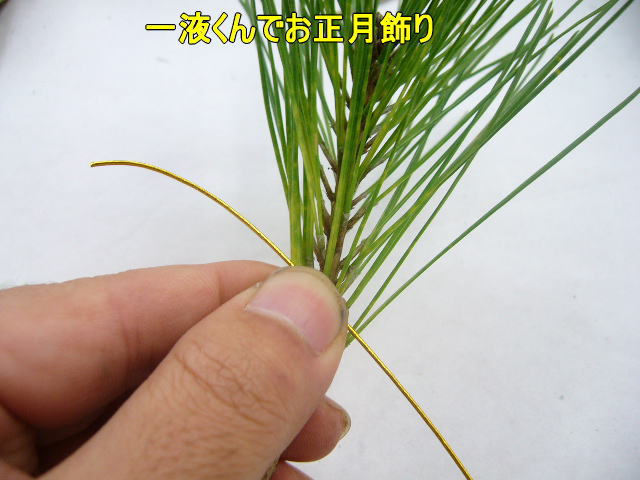 正月用アレンジ花材