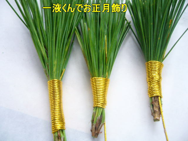 正月用アレンジ花材
