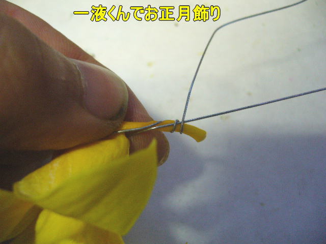 正月用アレンジ花材
